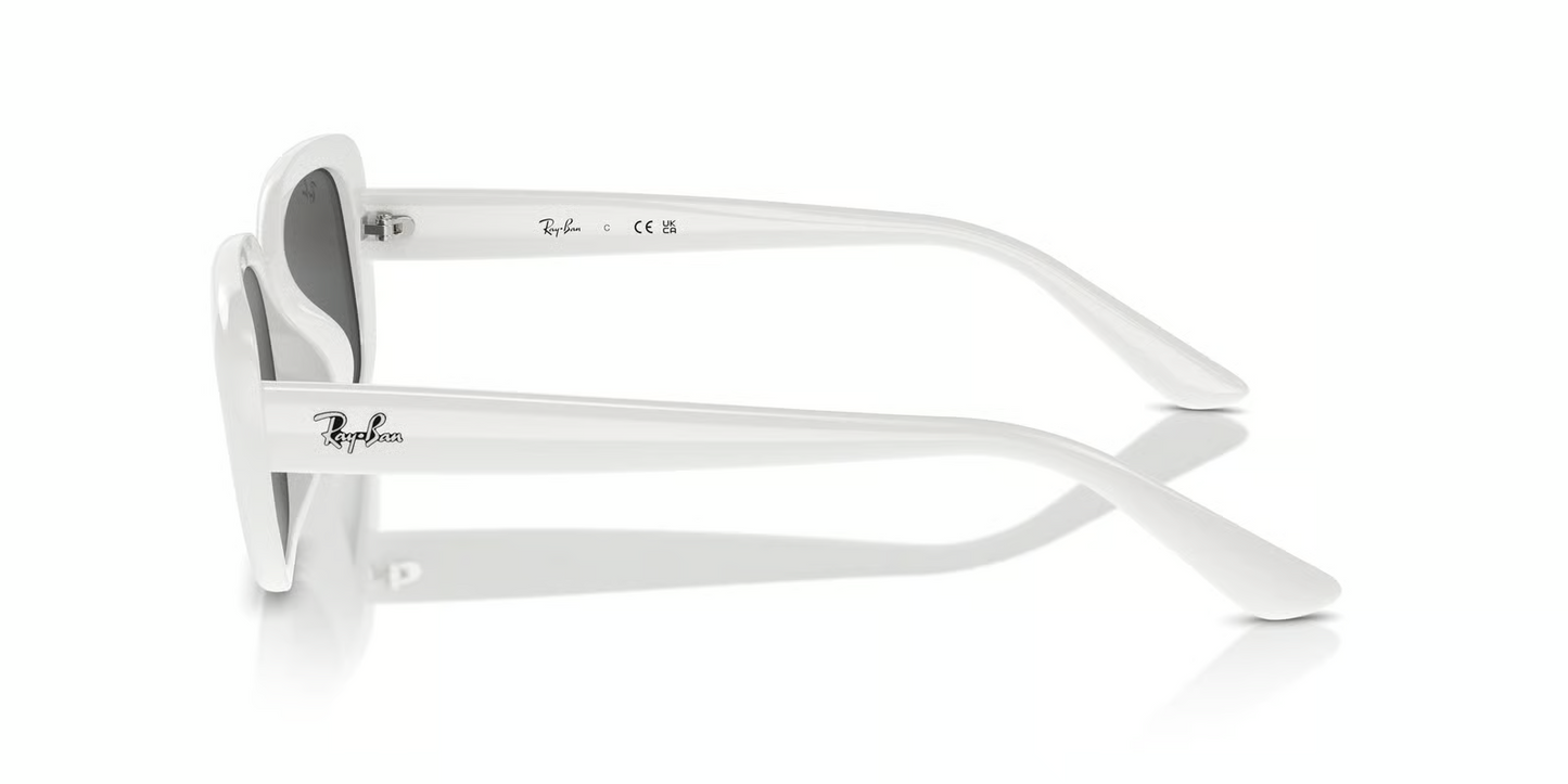 Ray-Ban RB4421D Sunglasses