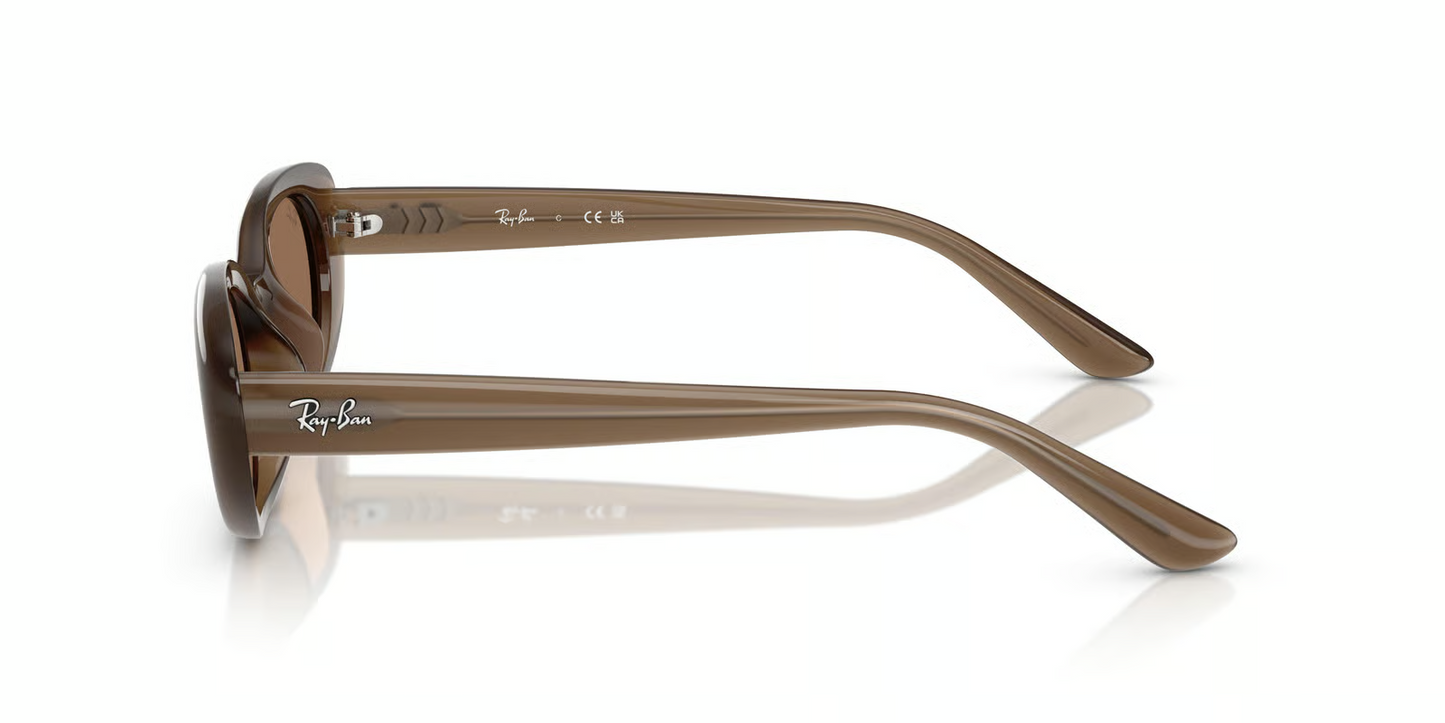 Ray-Ban RB4441D Sunglasses