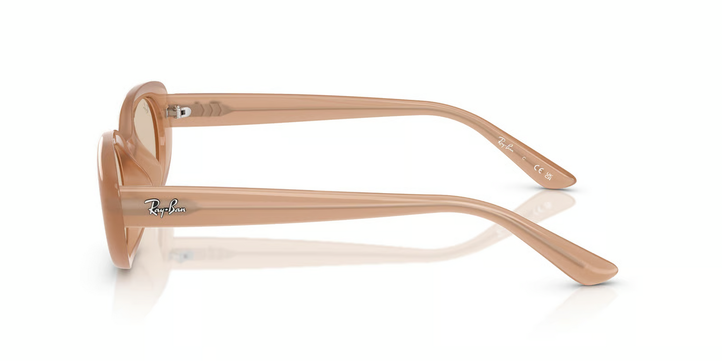 Ray-Ban RB4441D Sunglasses