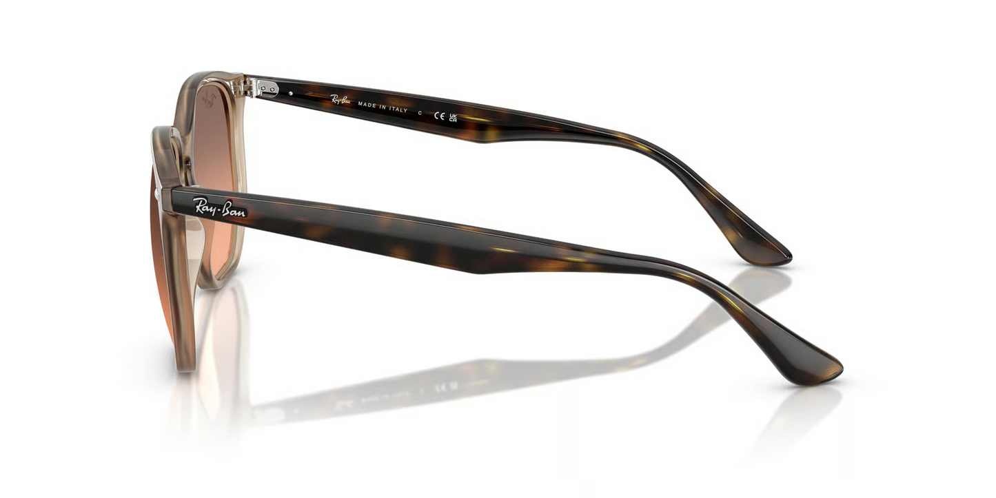 Ray-Ban RB4306F Sunglasses