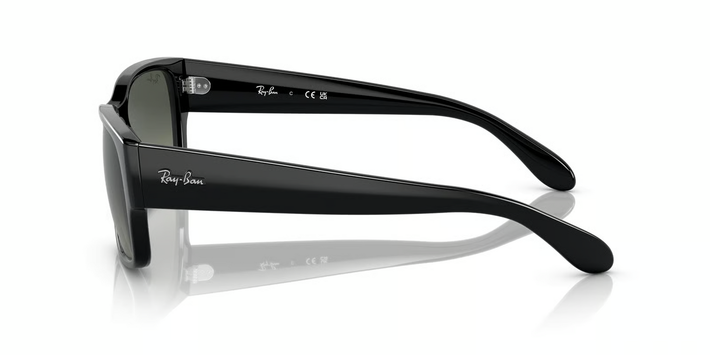 Ray-Ban RB4388 Sunglasses