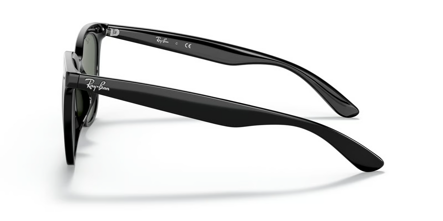 Ray-Ban RB4379D Sunglasses
