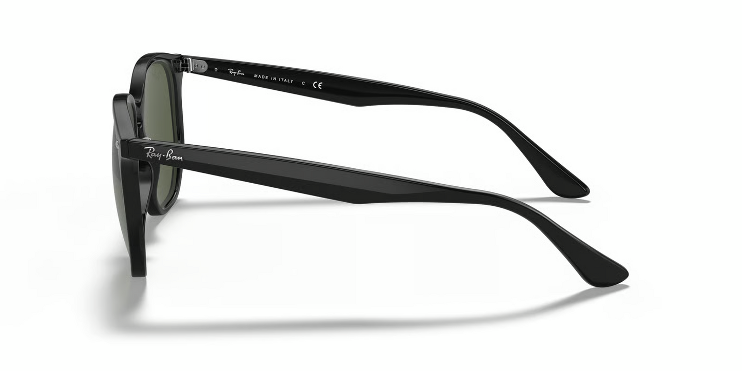 Ray-Ban RB4306F Sunglasses