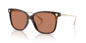 108/73 - Havana with Brown Lenses