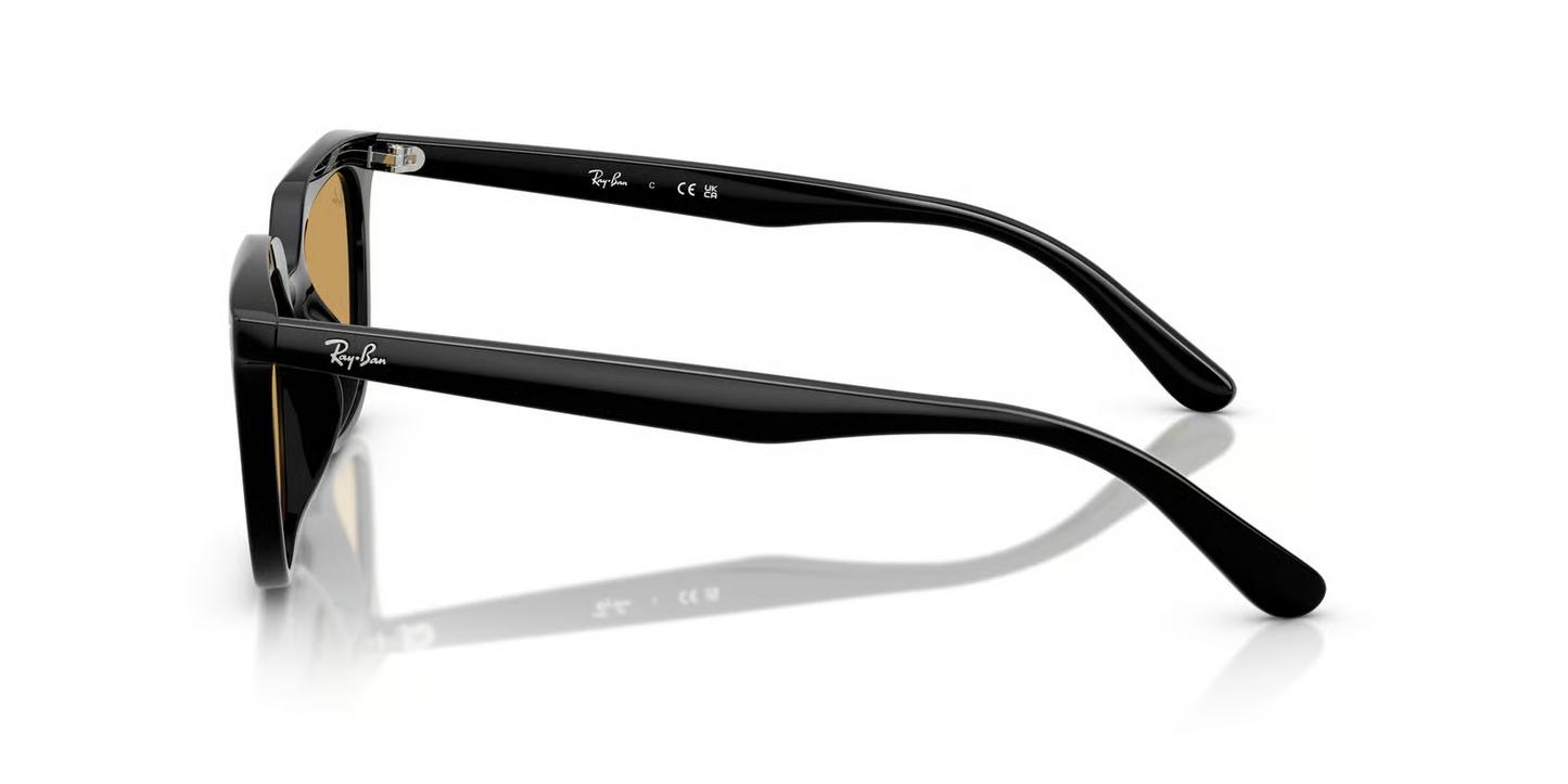 Ray-Ban RB4439D Sunglasses