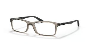 8059 - Transparent Grey with Clear Lenses