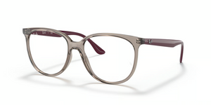 8083 - Transparent Grey with Clear Lenses