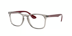 8083 - Transparent Grey with Clear Lenses
