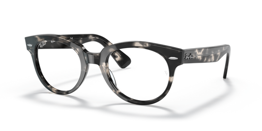 Ray-Ban Optical RX2199V Eyeglasses