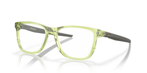 816310 - Polished Transparent Fern with Clear Lenses
