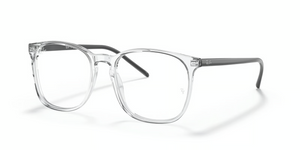 8181 - Transparent with Clear Lenses