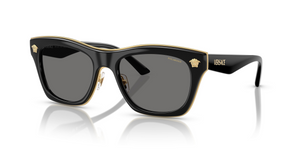 GB1/81 - Black with Polarized Dark Grey Lenses