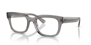 8263 - Transparent Grey with Clear Lenses