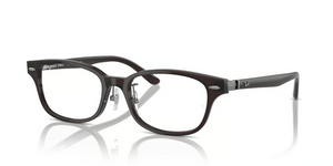 8290 - Transparent Brown with Clear Lenses