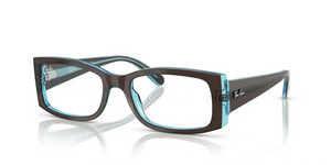 8366 - Brown On Transparent Blue with Clear Lenses