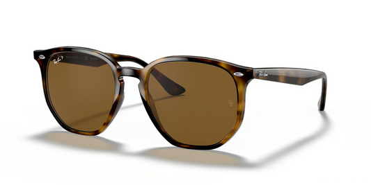 Ray-Ban RB4306F Sunglasses