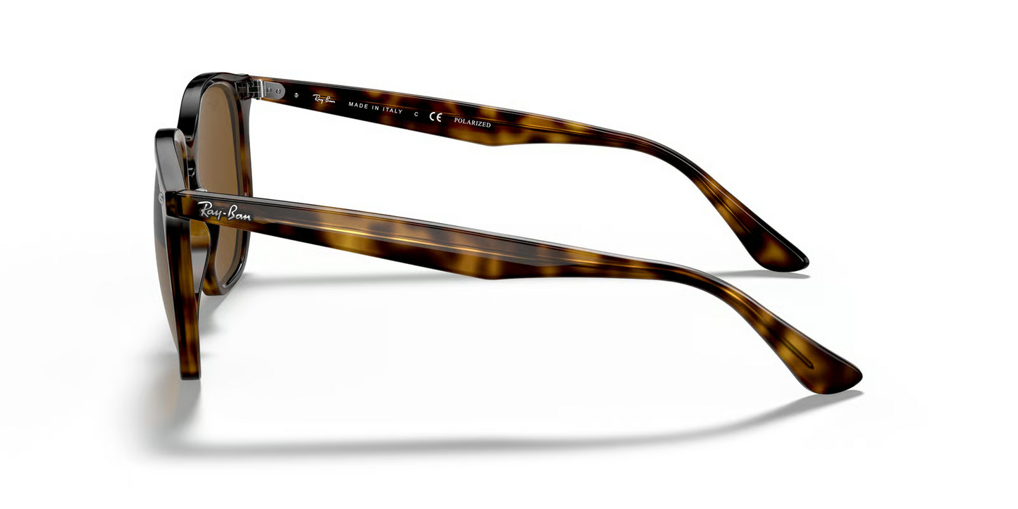Ray-Ban RB4306F Sunglasses