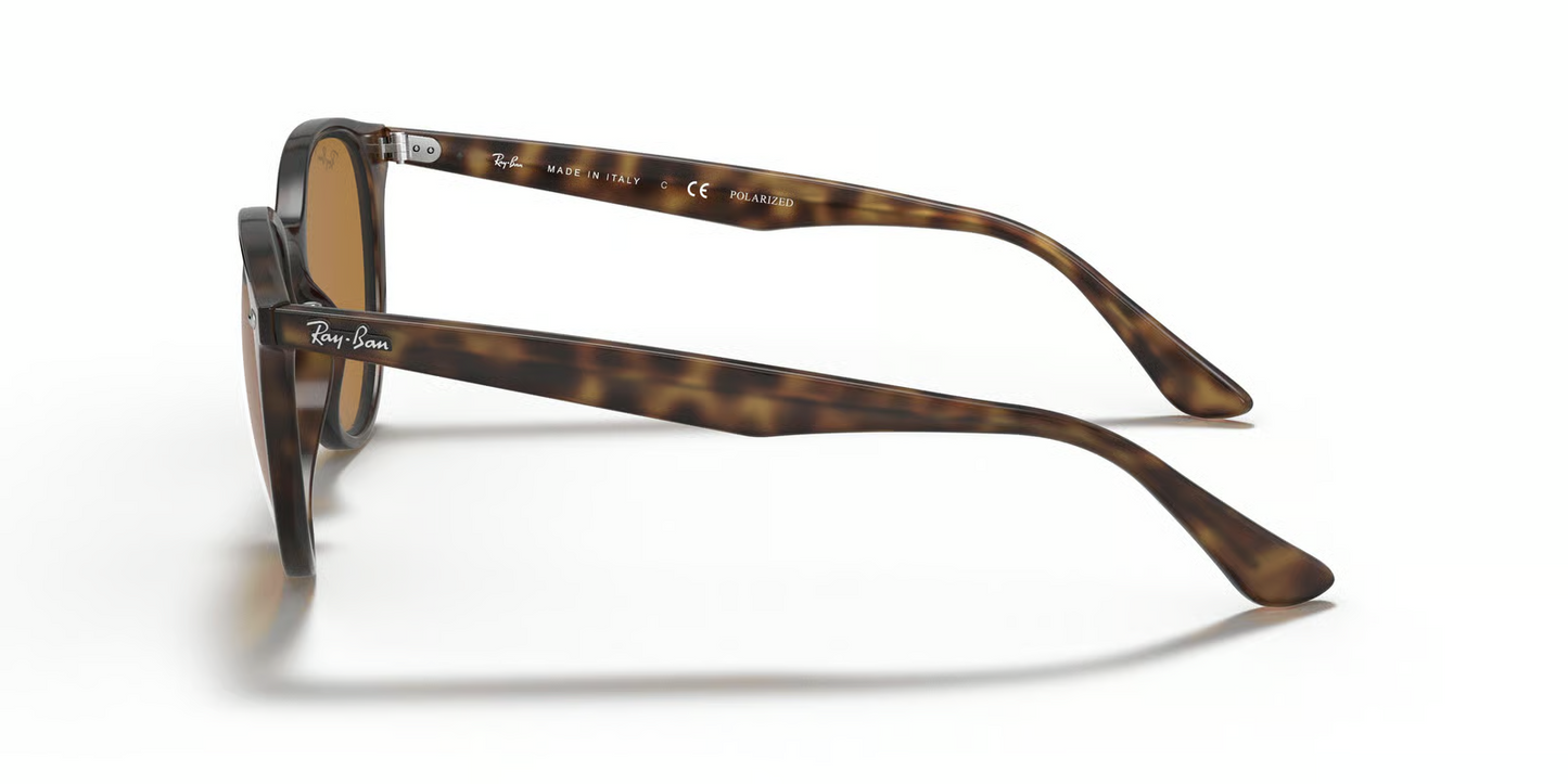 Ray-Ban RB4305F Sunglasses