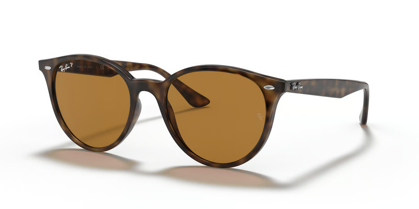 Ray-Ban RB4305F Sunglasses