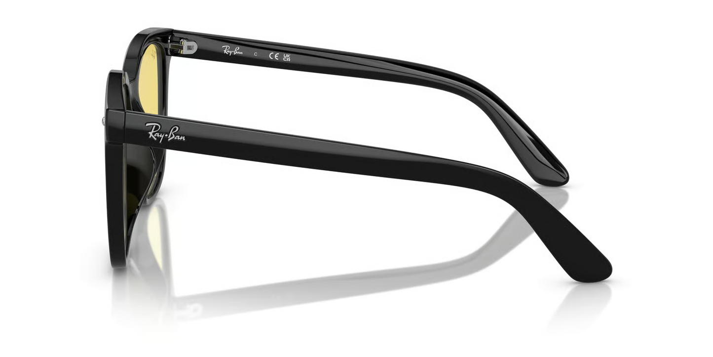 Ray-Ban RB4401D Sunglasses