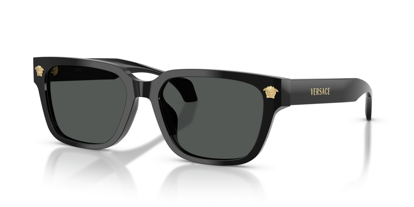 Versace VE4513D Sunglasses