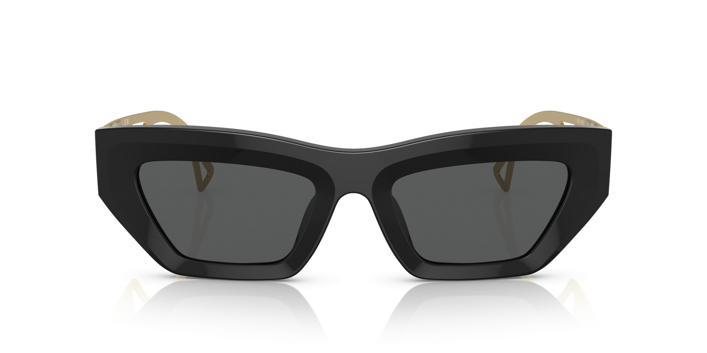 Versace VE4432U Sunglasses