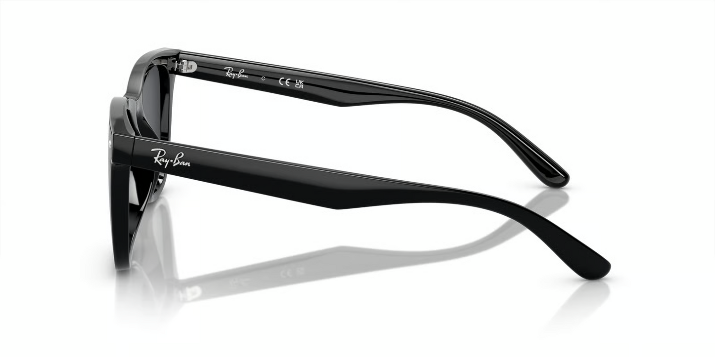Ray-Ban RB4420 Sunglasses