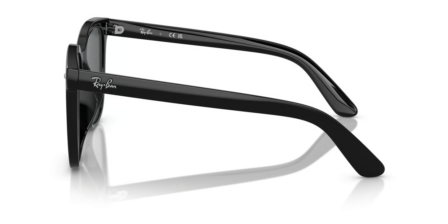 Ray-Ban RB4401D Sunglasses