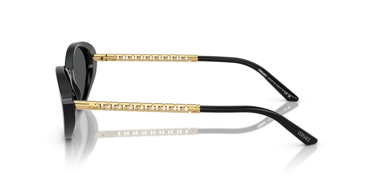 Versace VE4469 Sunglasses