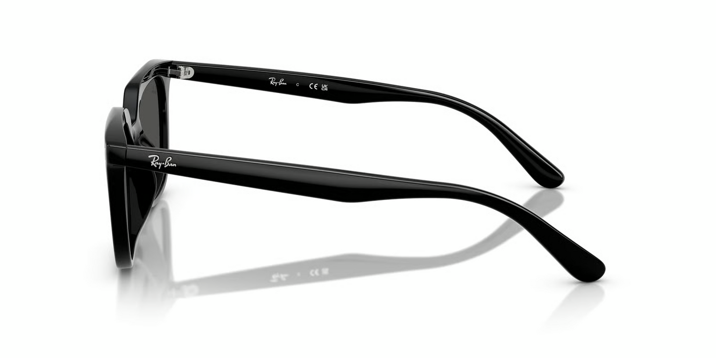 Ray-Ban RB4439D Sunglasses