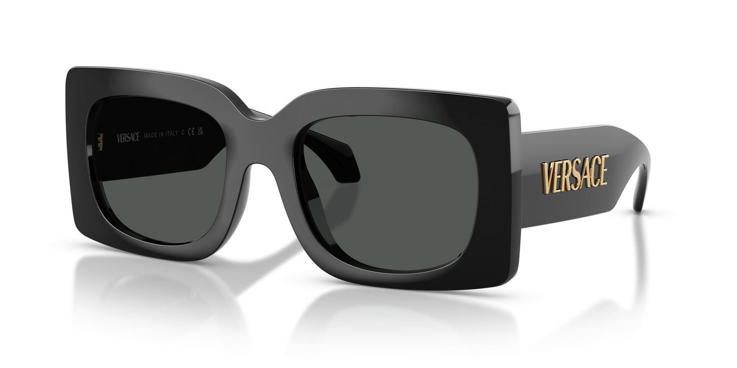 Versace VE4496U Sunglasses