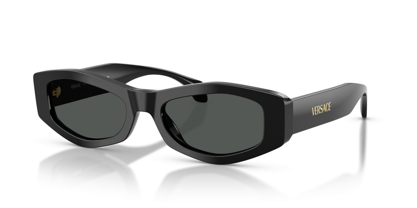 Versace VE4487 Sunglasses