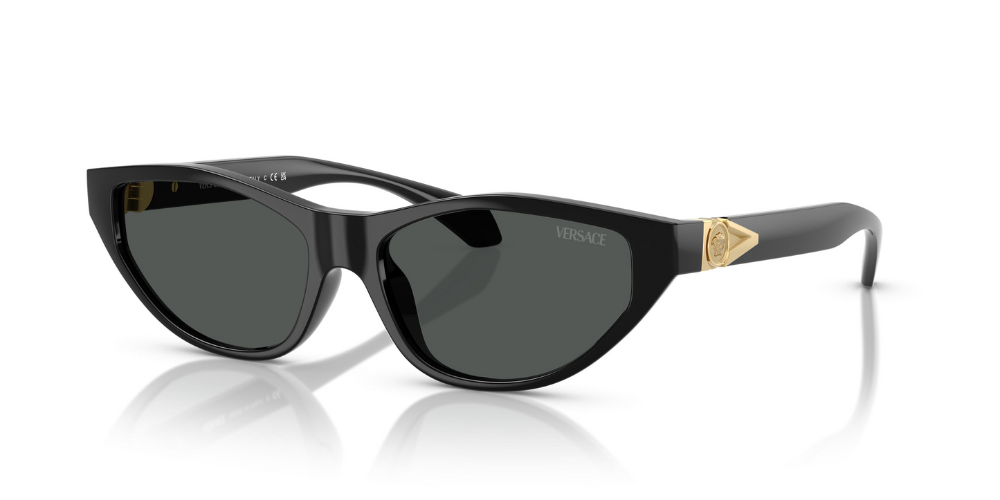 Versace VE4491U Sunglasses