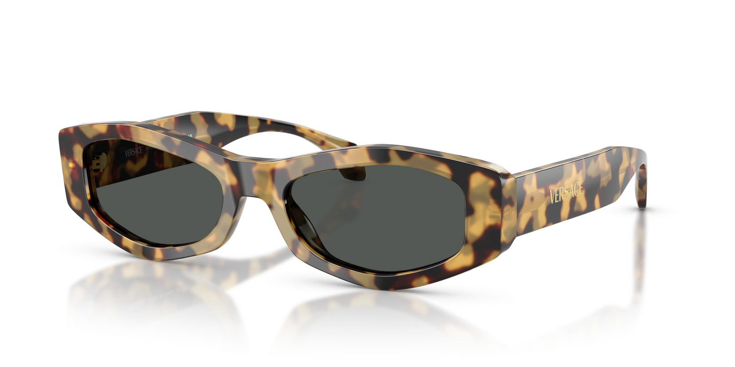 Versace VE4487 Sunglasses