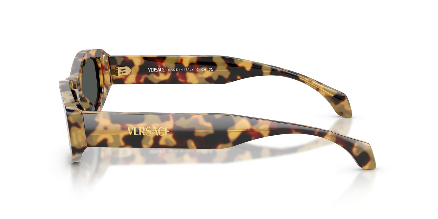 Versace VE4487 Sunglasses