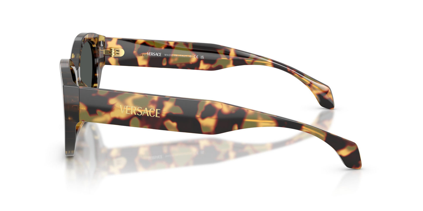 Versace VE4495D Sunglasses