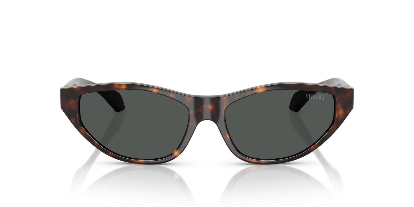 Versace VE4491U Sunglasses