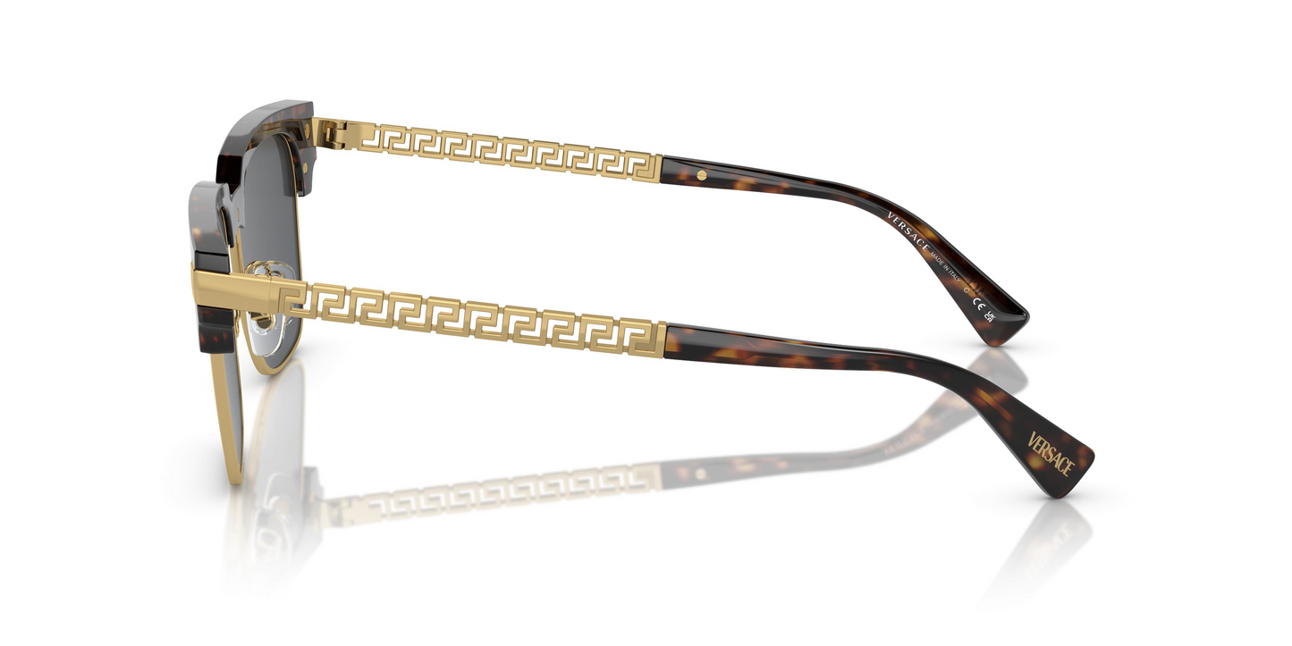 Versace VE4447 Sunglasses