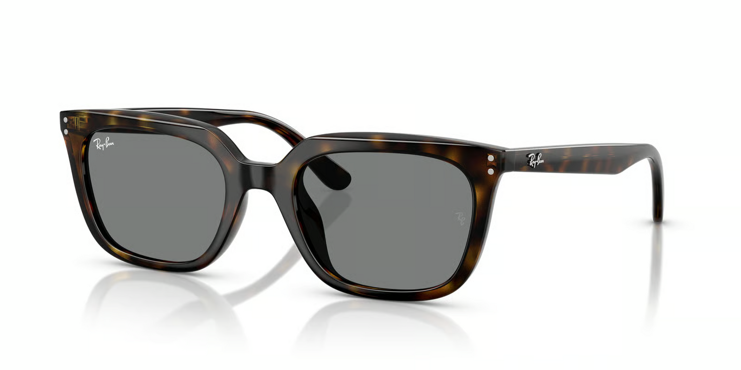 Ray-Ban RB4439D Sunglasses