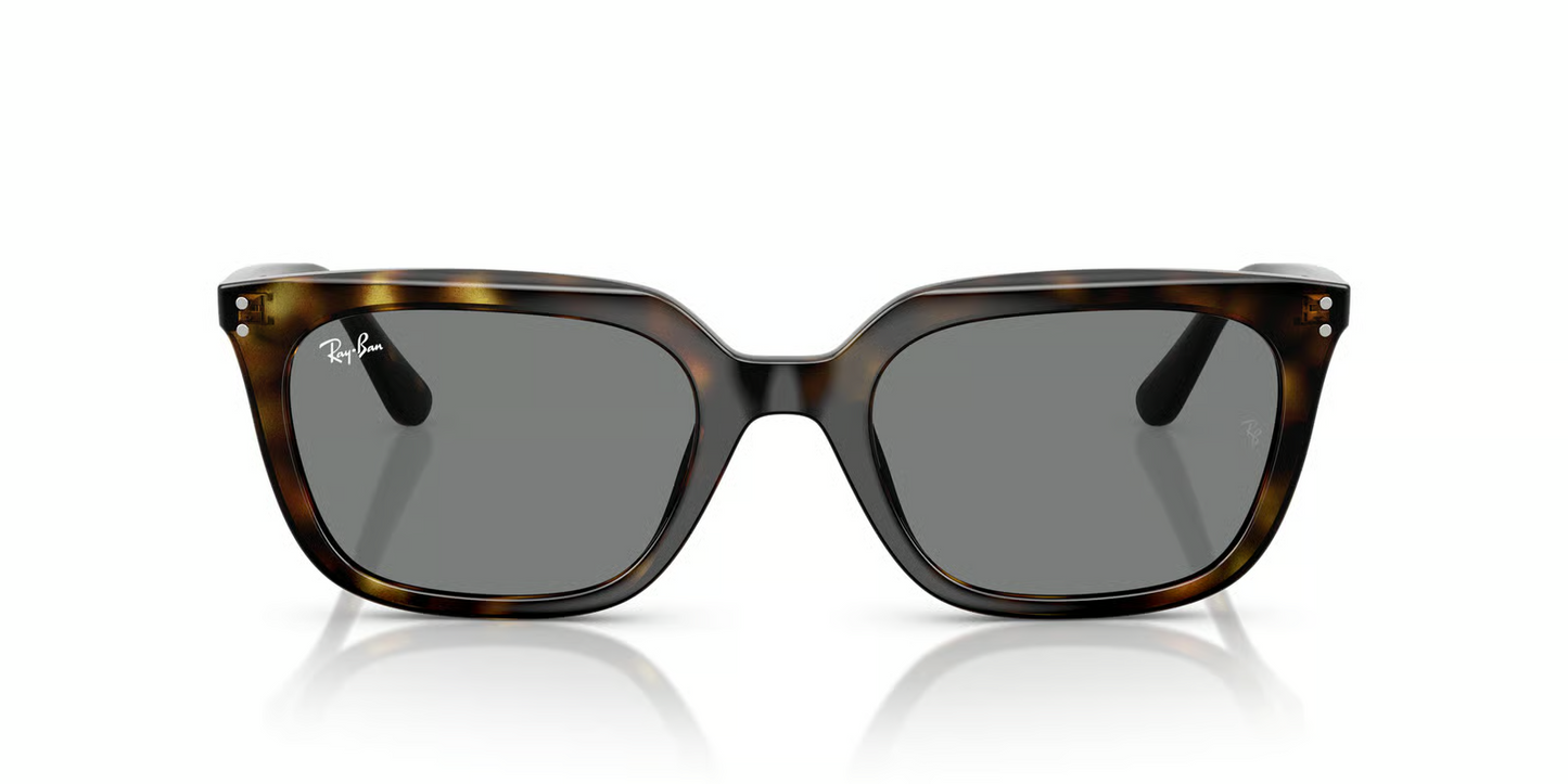 Ray-Ban RB4439D Sunglasses