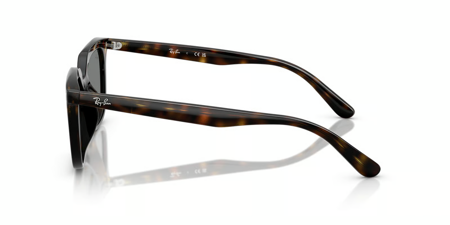 Ray-Ban RB4439D Sunglasses