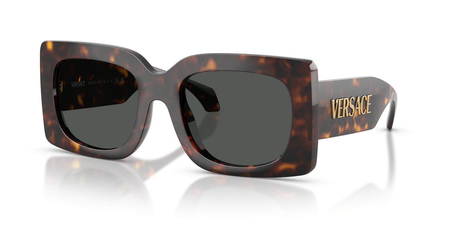 Versace VE4496U Sunglasses