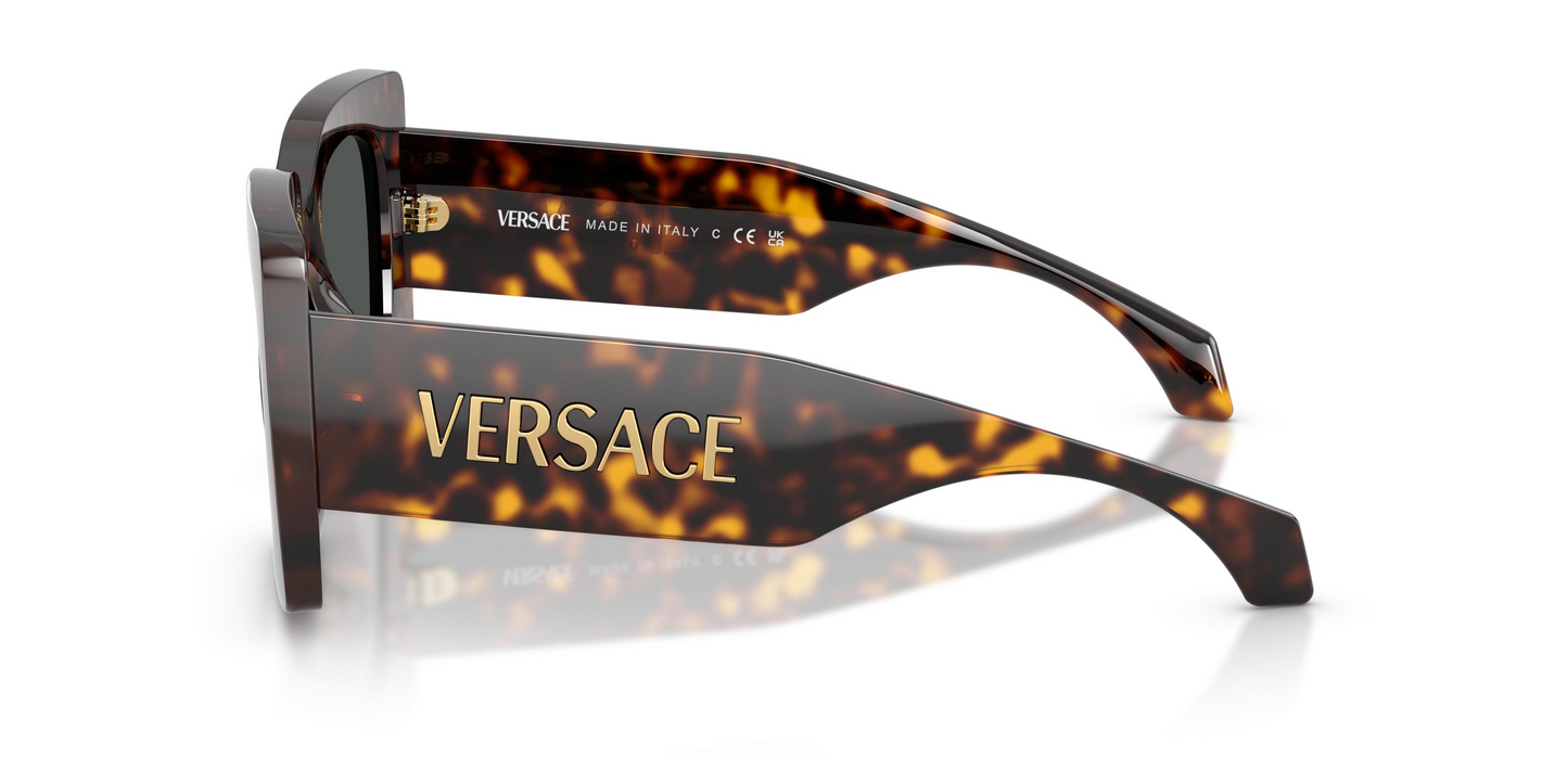 Versace VE4496U Sunglasses