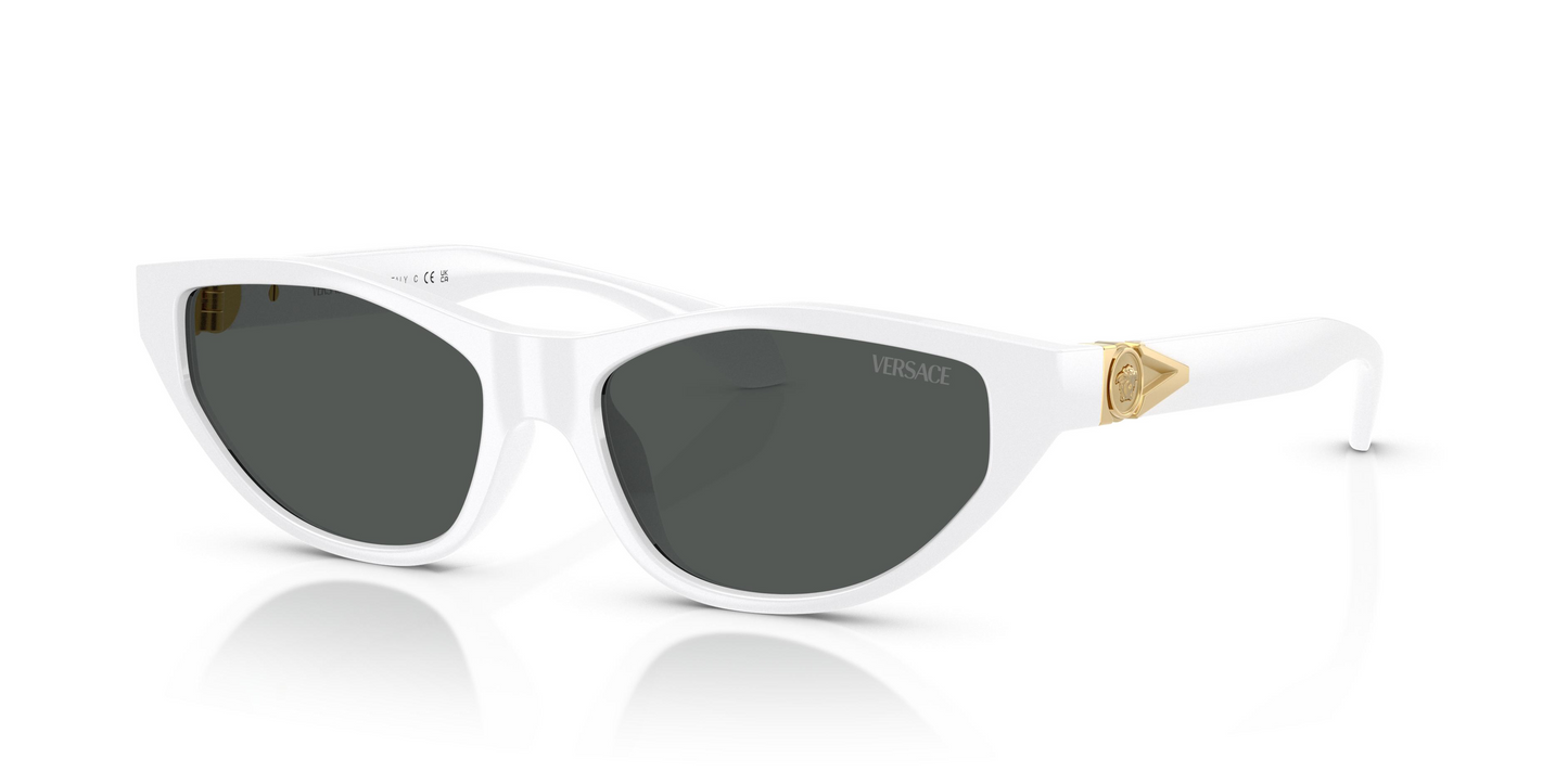 Versace VE4491U Sunglasses