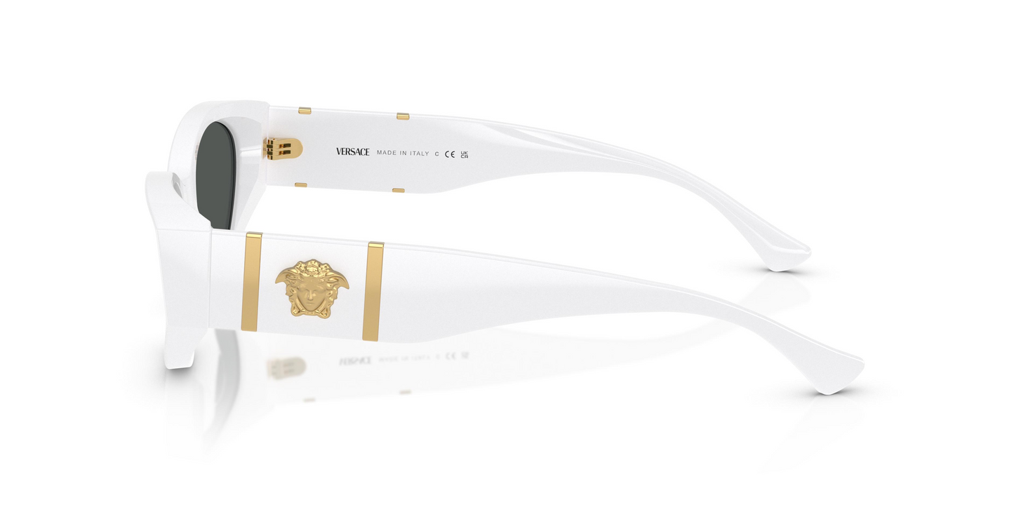 Versace VE4454 Sunglasses