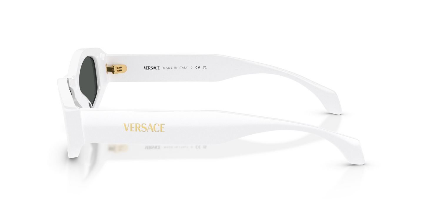 Versace VE4487 Sunglasses