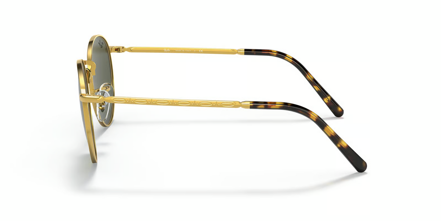 Ray-Ban RB3637 New Round Sunglasses
