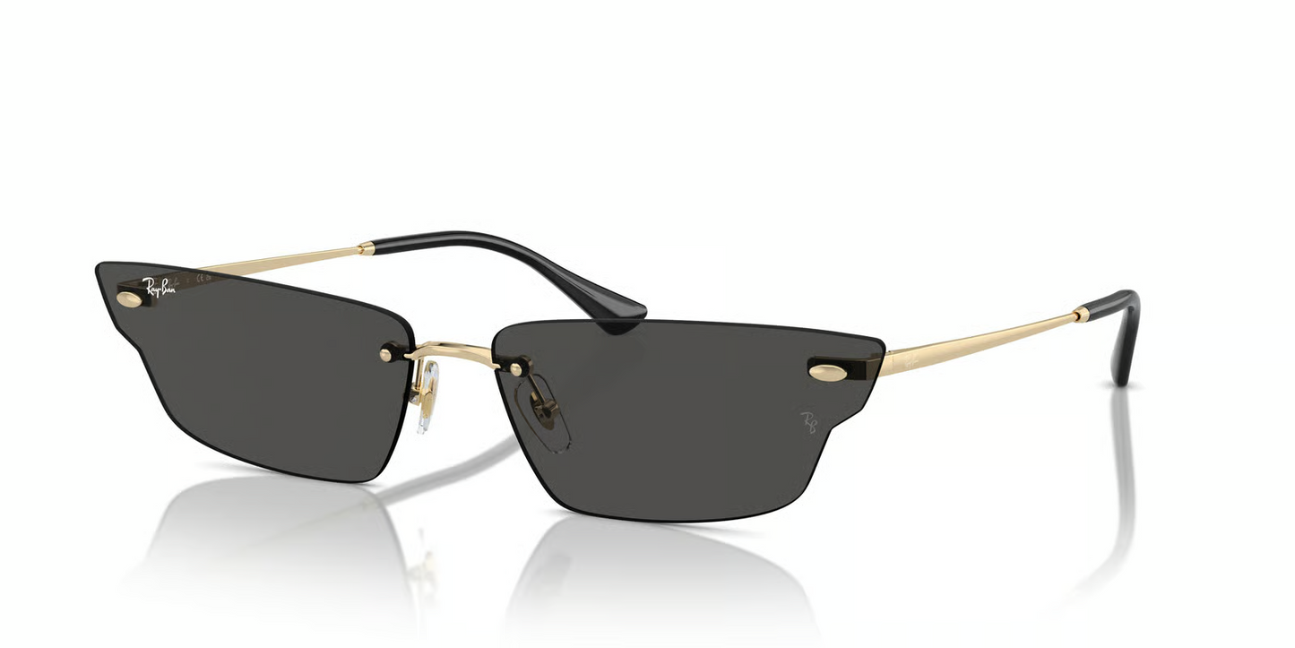 Ray-Ban RB3731 ANH Sunglasses