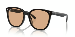 601/93 - Black with Brown Lenses