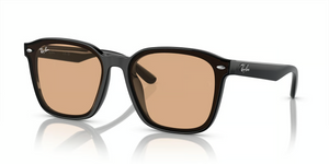 601/93 - Black with Brown Lenses